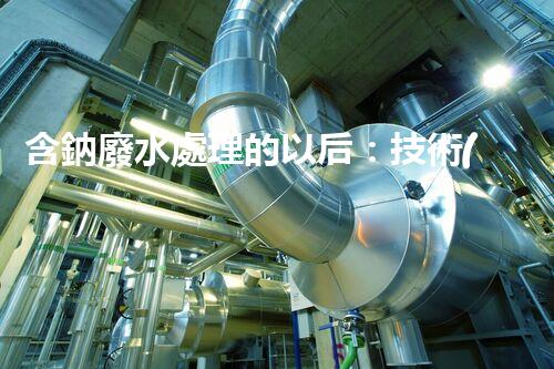 含鈉廢水處理的以后：技術(shù)革新與環(huán)保挑戰(zhàn)！